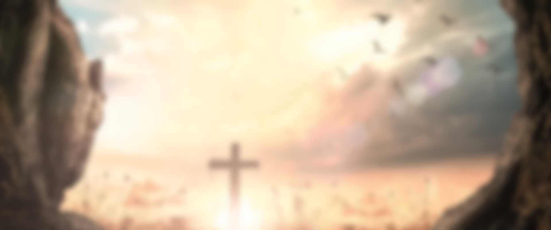 Dynamic365